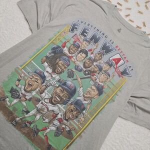 Rare Boston Red Sox Fenway Park T-Shirt Men's 2XL Gray Short Sleeve Caricature